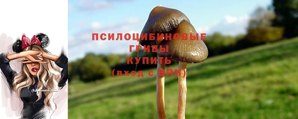 герыч Куйбышев