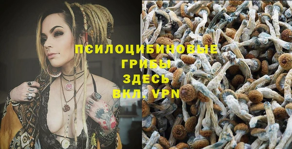 Альфа ПВП Кукмор